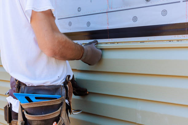 Best Custom Trim and Detailing for Siding  in USA